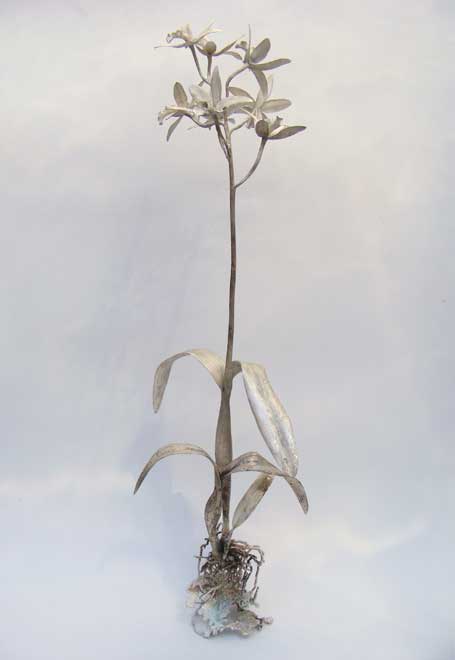 Nic Bladen-Laelia cattleya (sterling )