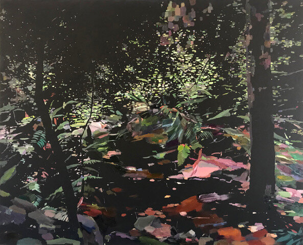 Forest Reserve