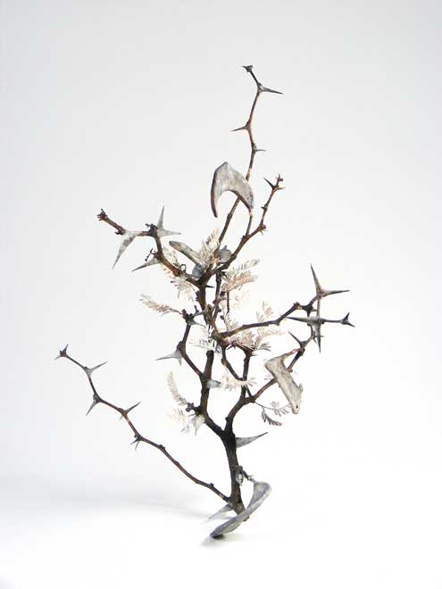 Nic Bladen-Acacia erioloba ( and silver)