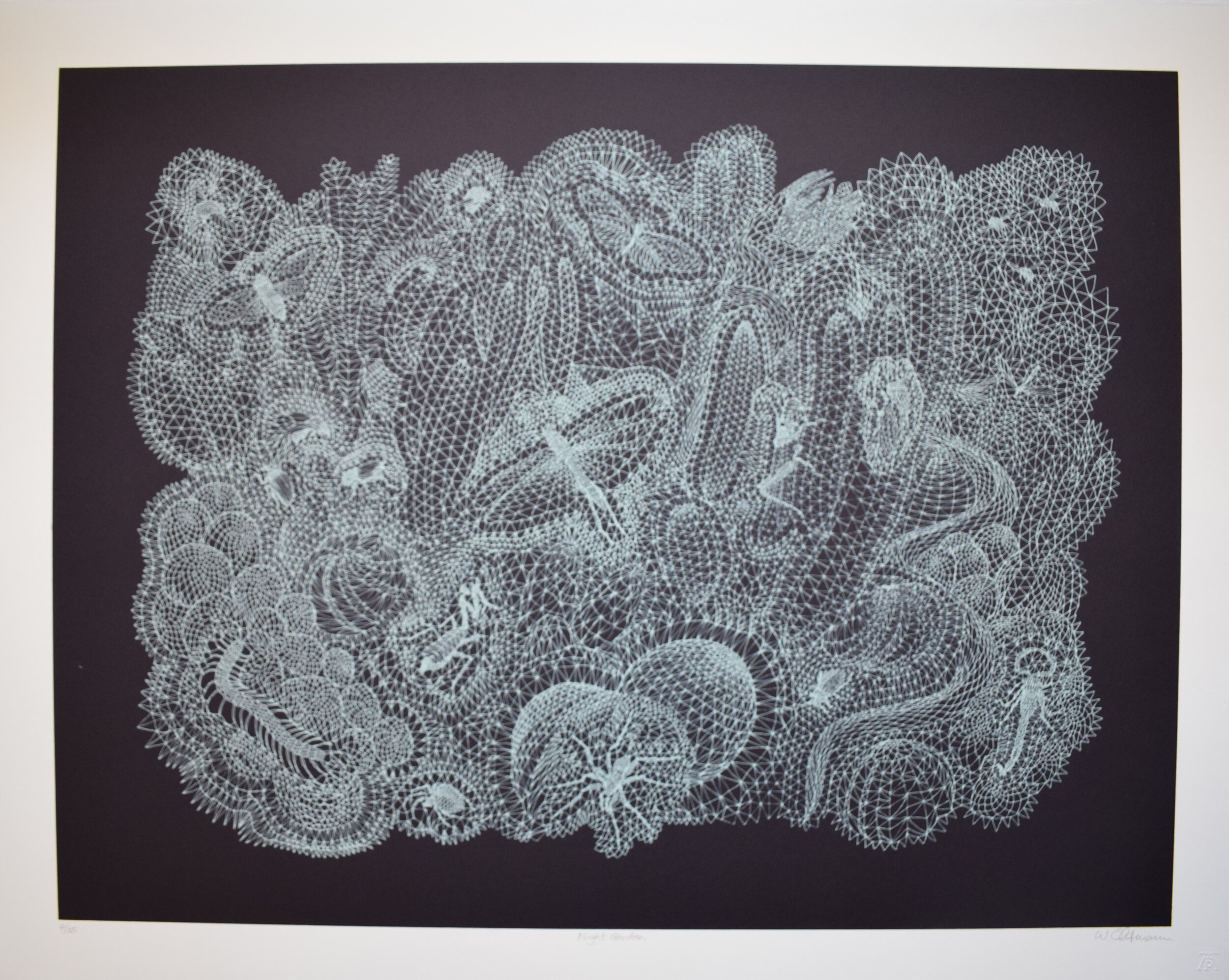 Walter Oltman - The Night Garden - 4of35 - (2)
