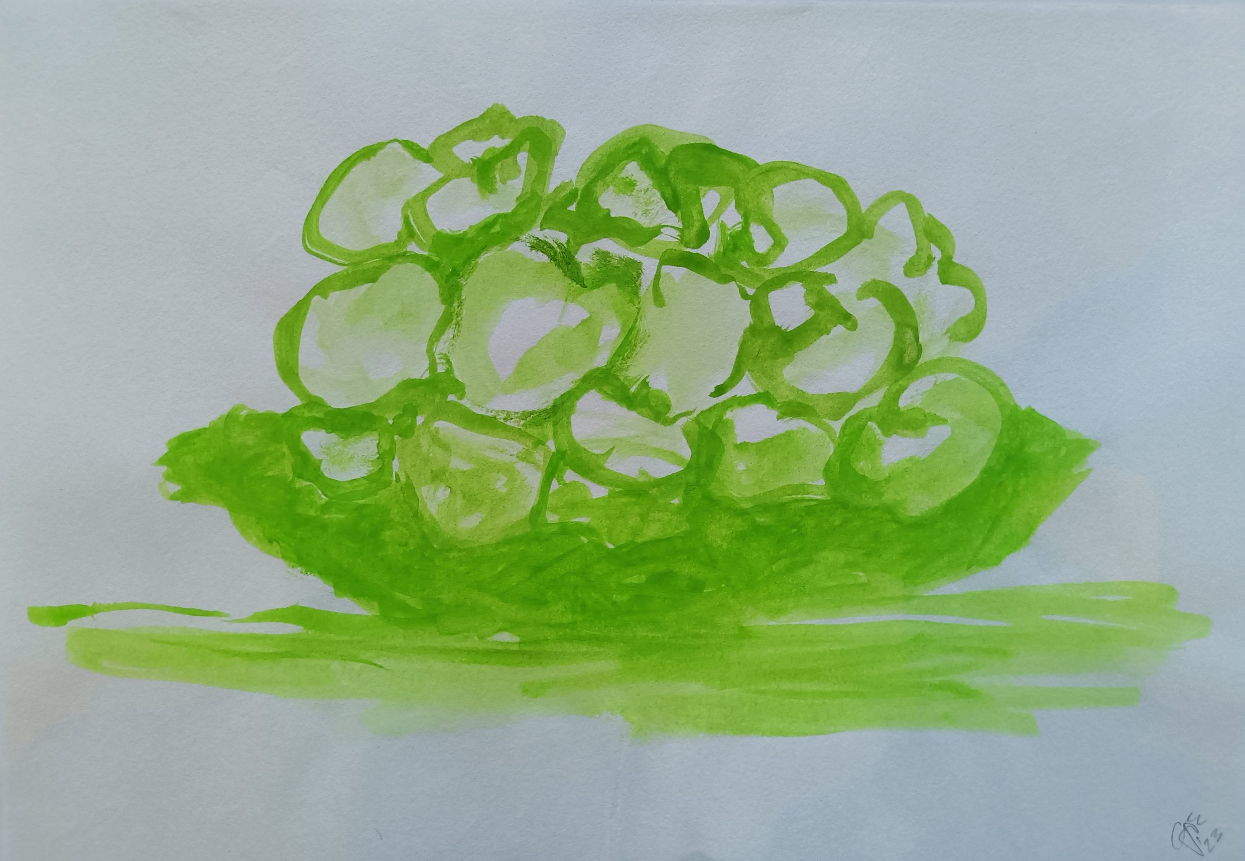 Gwen Van Embden - Drawing of Apples in colour on paper (Green)