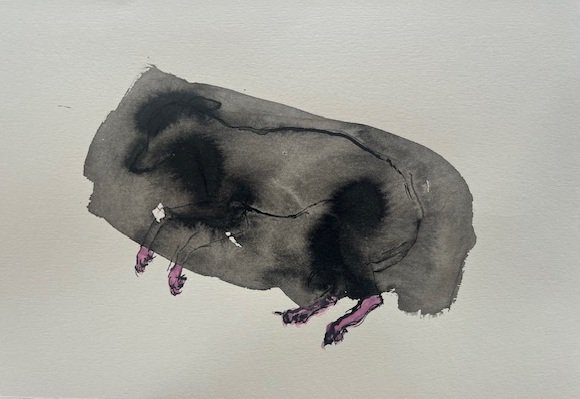 Nicola Bailey, Tender Sleep, Ink on Fabriano